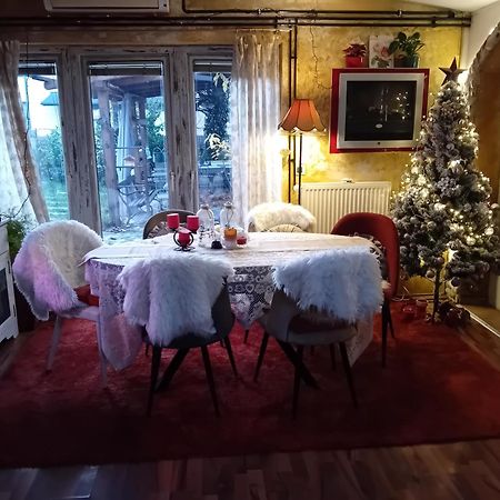 Rose Room 40M2 With Terrace 25M2 In Greeny Area For 4 Person リュブリャナ エクステリア 写真