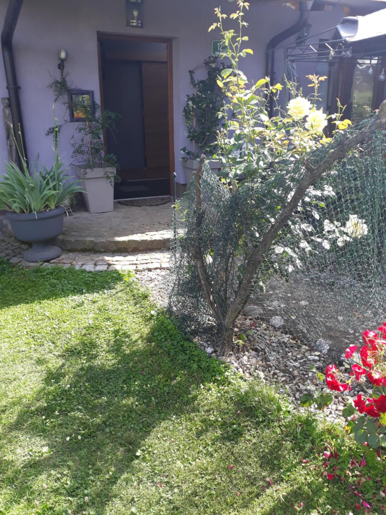 Rose Room 40M2 With Terrace 25M2 In Greeny Area For 4 Person リュブリャナ エクステリア 写真