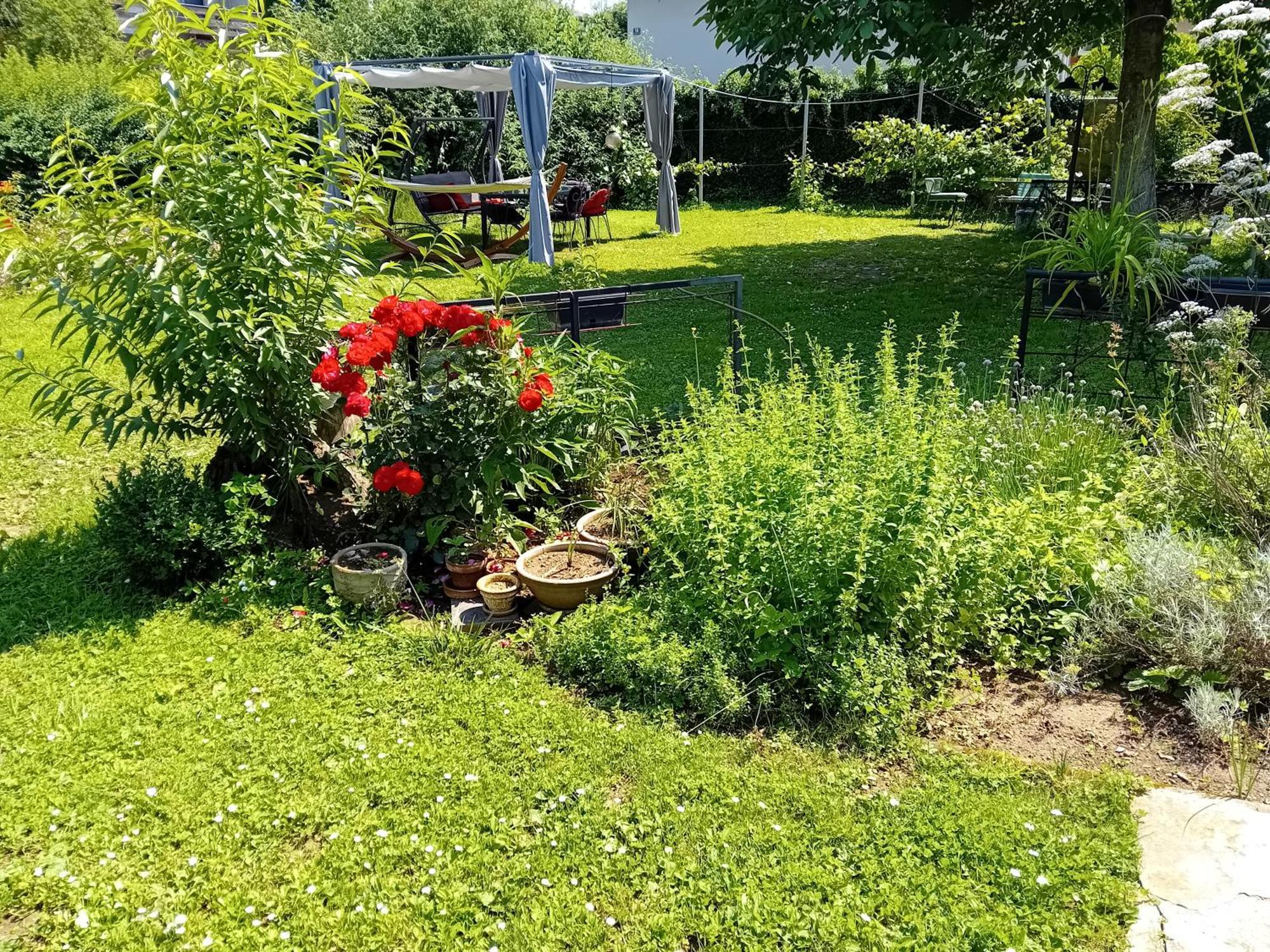 Rose Room 40M2 With Terrace 25M2 In Greeny Area For 4 Person リュブリャナ エクステリア 写真